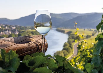  Flüssezauber & Weinbergromantik 