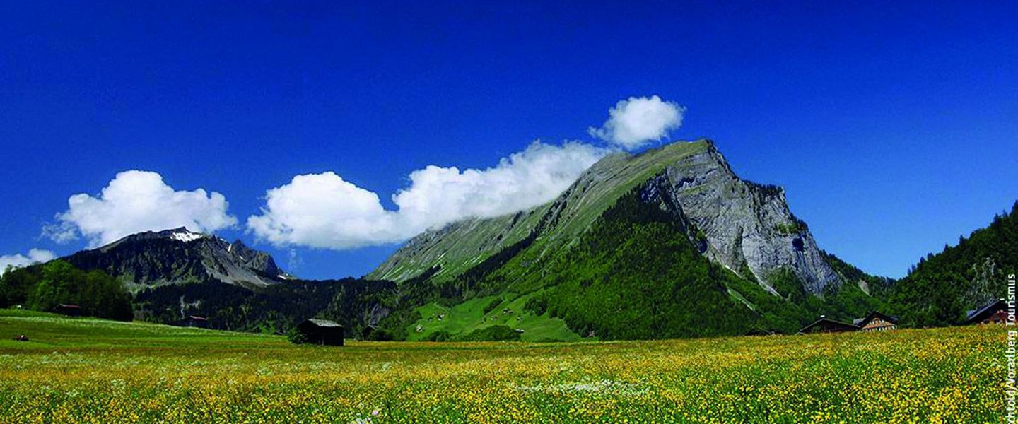 Bregenzerwald ist die Bezeichnung für eine Region im österreichischen Bundesland Vorarlberg. Diese umfasst im Wesentlichen das Einzugsgebiet der Bregenzer Ach südöstlich von Bregenz, in der Nähe des Bodensees, bis an den Hochtannbergpass.